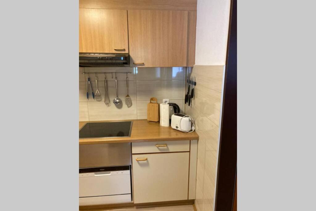 Gemuetliche Ferienwohnung In Sankt Blasien Exteriör bild