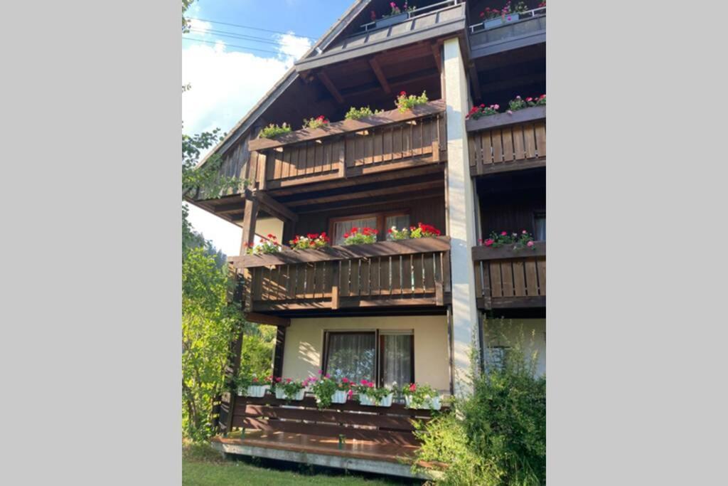 Gemuetliche Ferienwohnung In Sankt Blasien Exteriör bild