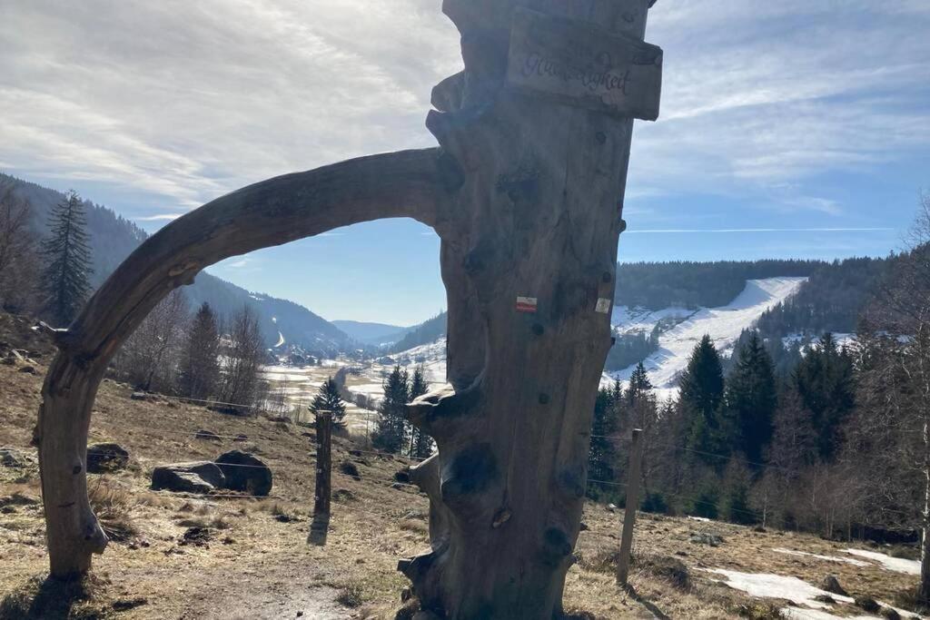 Gemuetliche Ferienwohnung In Sankt Blasien Exteriör bild