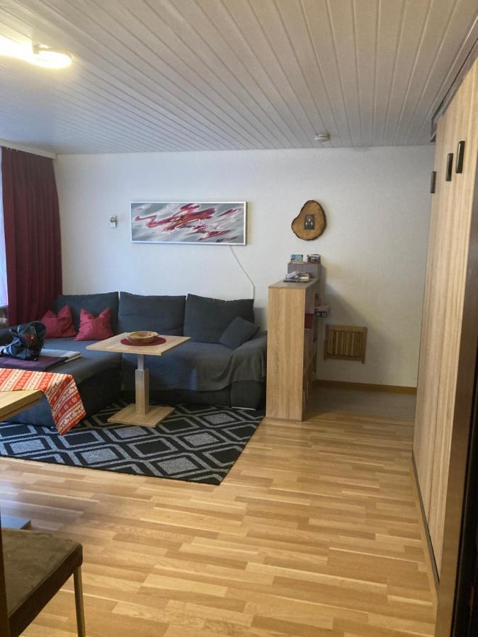 Gemuetliche Ferienwohnung In Sankt Blasien Exteriör bild