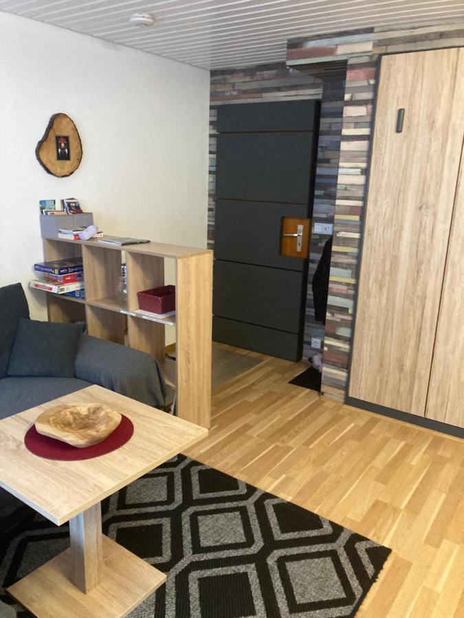 Gemuetliche Ferienwohnung In Sankt Blasien Exteriör bild